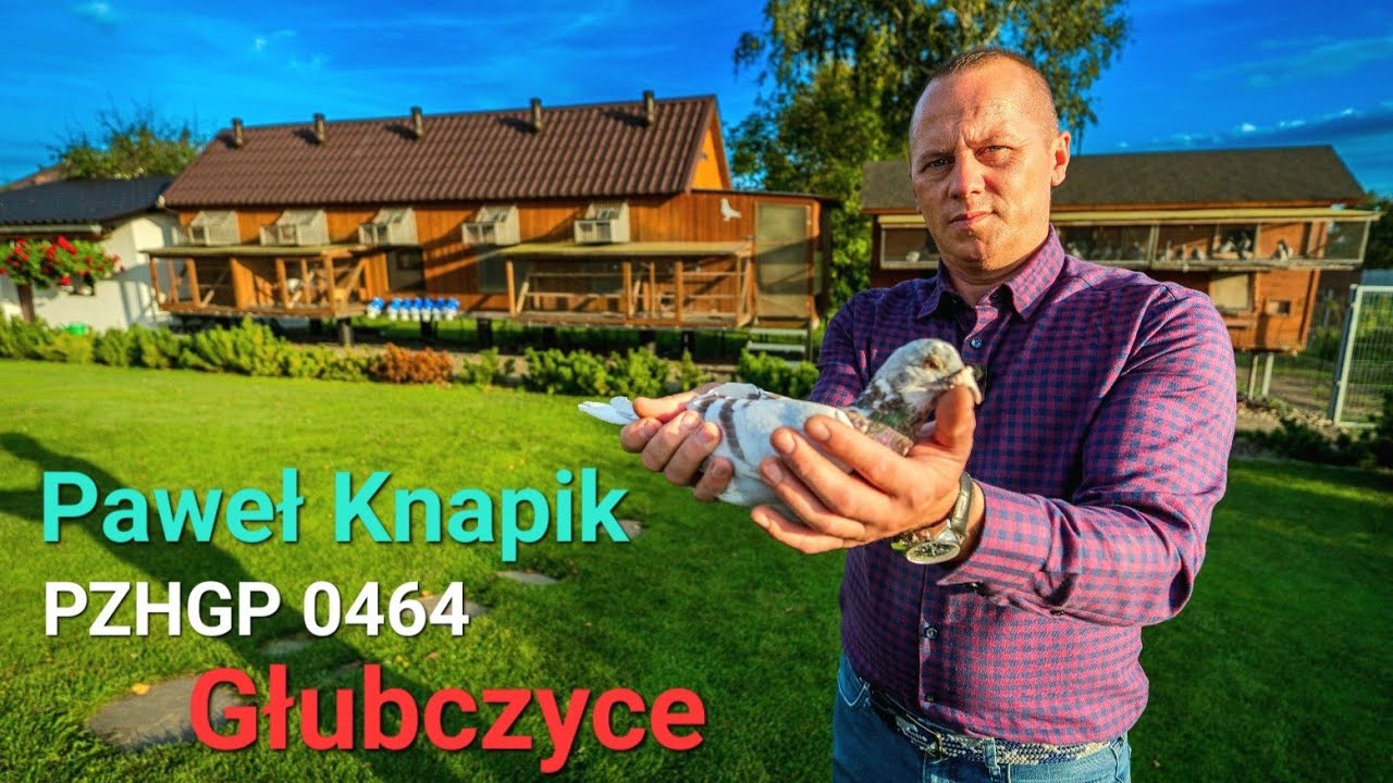 Paweł Knapik - PZHGP 0464 Głubczyce / Lot Berlin i 5 pierwszy gołębi na aukcji 🙉🏆🎉 ( EXTRA FILM )