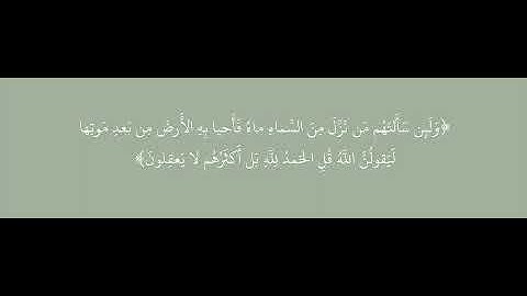 تلاوة جميلة من سورة العنكبوت تخشع لها القلوب💚💚✨