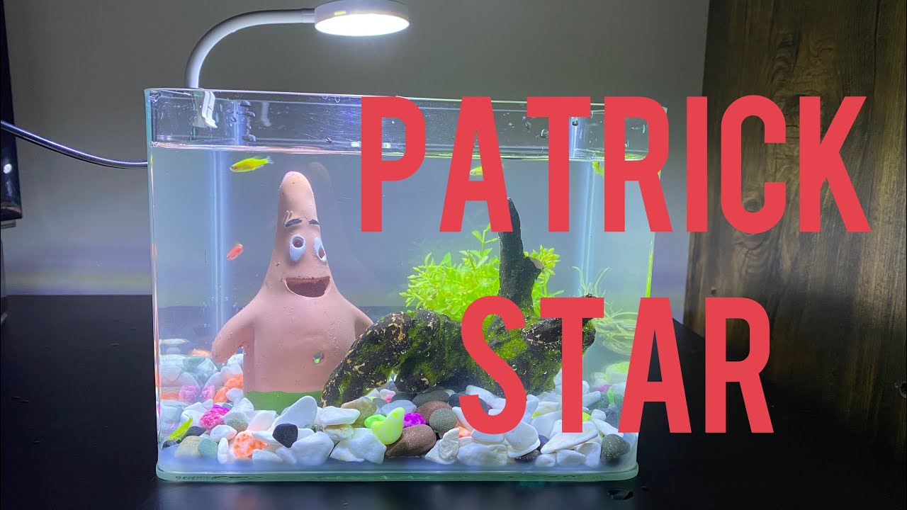 Fantasy Aquarium / Patrick Star