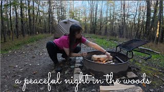 Cozy Fall Solo Camping | Surviving the Night on a Forest Road