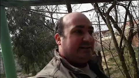 Как ухаживать за гранатом