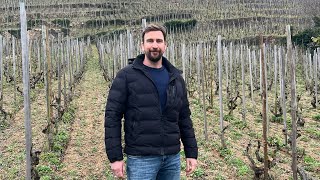 Domaine Garon Ampuis - Fr