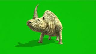 Green Screen Animal | No Copyright | Green Screen Tiger | Free to Download Green Screen Video screenshot 4