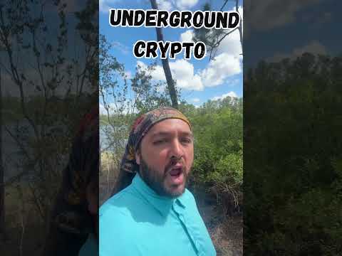 Not Really Crypto! 👀
