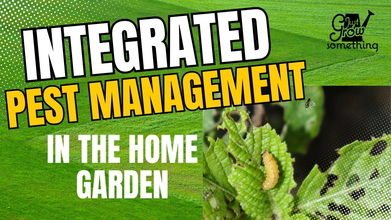 Integrated Pest Management in the Home Garden - Ep. 228 - YouTube