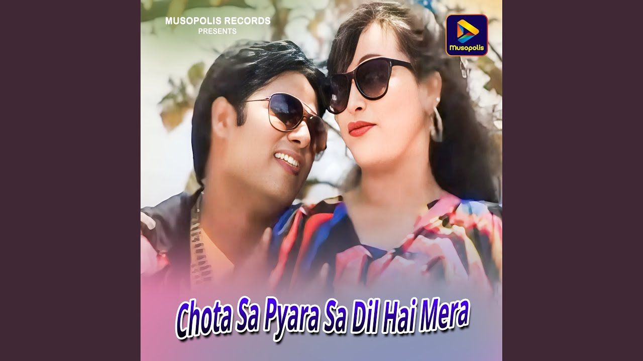Chota Sa Pyara Sa Dil Hai Mera
