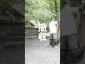 撤収のことしか考えられないキャンパーです　#camping #japanesecamp #shorts