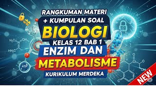 Rangkuman Materi   Kumpulan Soal  Biologi  Kelas 12  Bab 1  Enzim dan Metabolisme