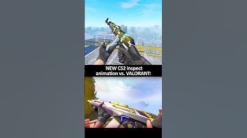 CS2 vs. Valorant animation: