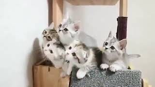 Ninang ninang....