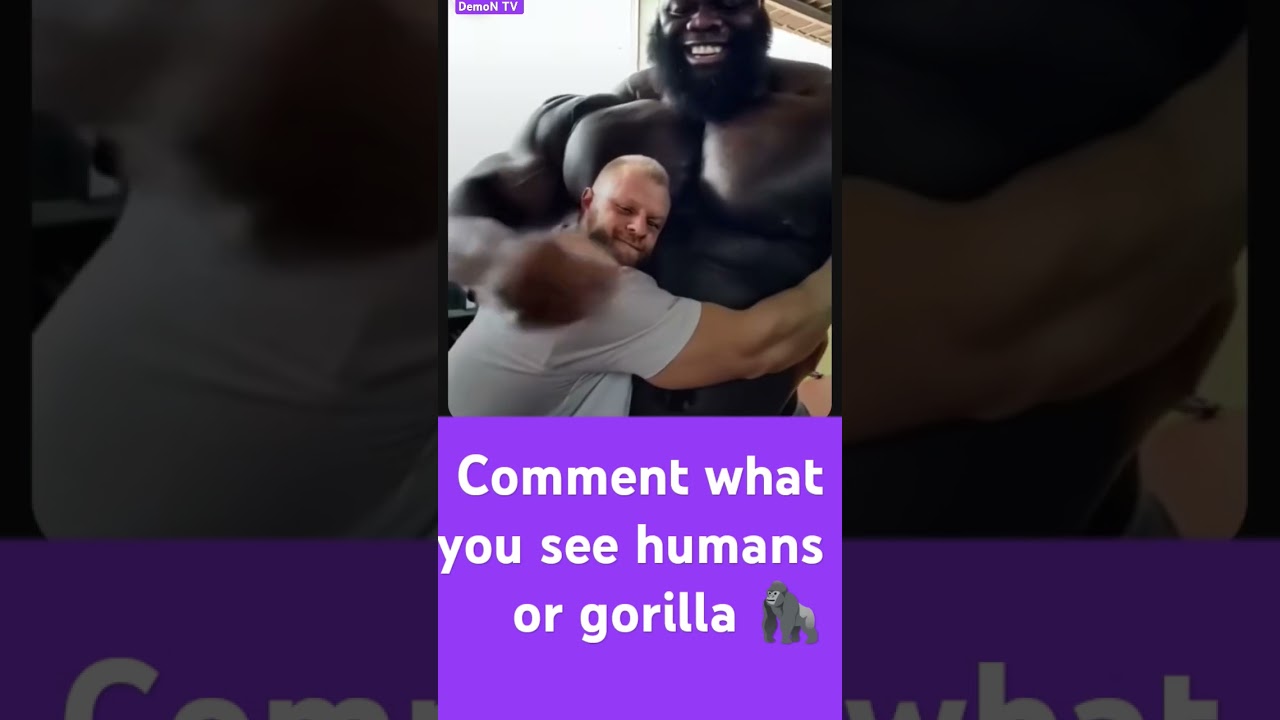 Comment what you see 🙈 human or gorilla 🦍