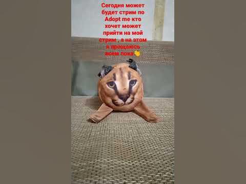 @БЛОПТОП - YouTube