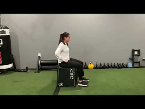 Seated Hamstring Isometric