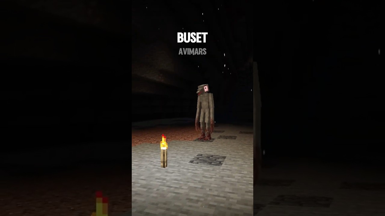 SERAAMM jangan pernah sakiti ayam di minecraft