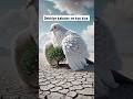 The pigeon planted a apple tree and then the whole area becomes green #shorts #ai #pigeon