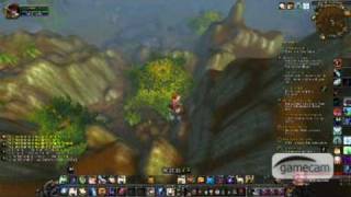 WoW Bug Compilation