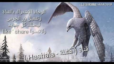 سورة الفاتحة بصوت الشيخ مصطفى