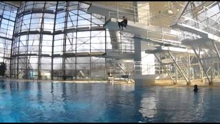 Splashdiving Days Munich