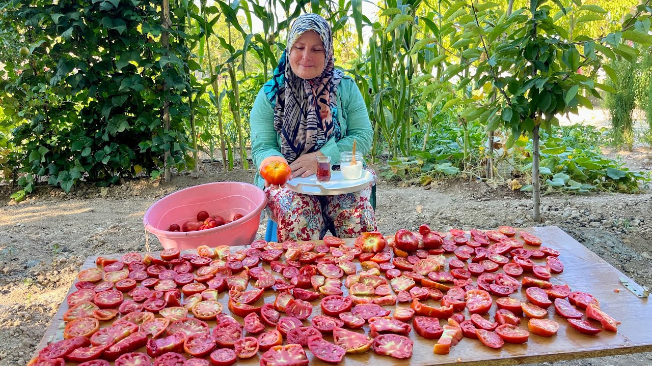 ATA TOHUMU DOMATESLERİMİZDEN KURUTMALIK‼️DOĞAL KIRAÇ DOMATES 👩‍🌾KÖY HAYATI #domates #yemektarifleri 