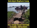 Sakrebyle Elephant Camp ಸಕ್ರೆಬೈಲು ಆನೆ ಬಿಡಾರ - (ಶಿವಮೊಗ್ಗ) Shimoga Karnataka