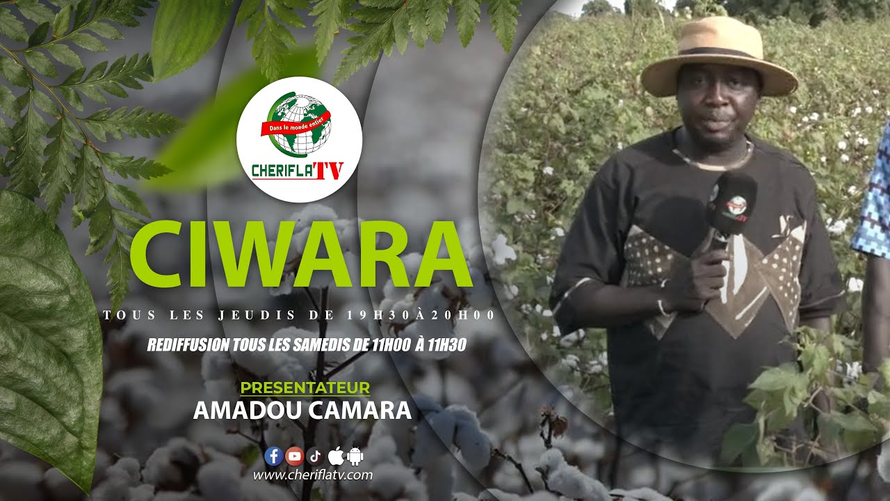 CIWARA DU 08-11-2025