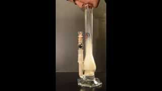 David Goldstein Rooster Apparatus Rips