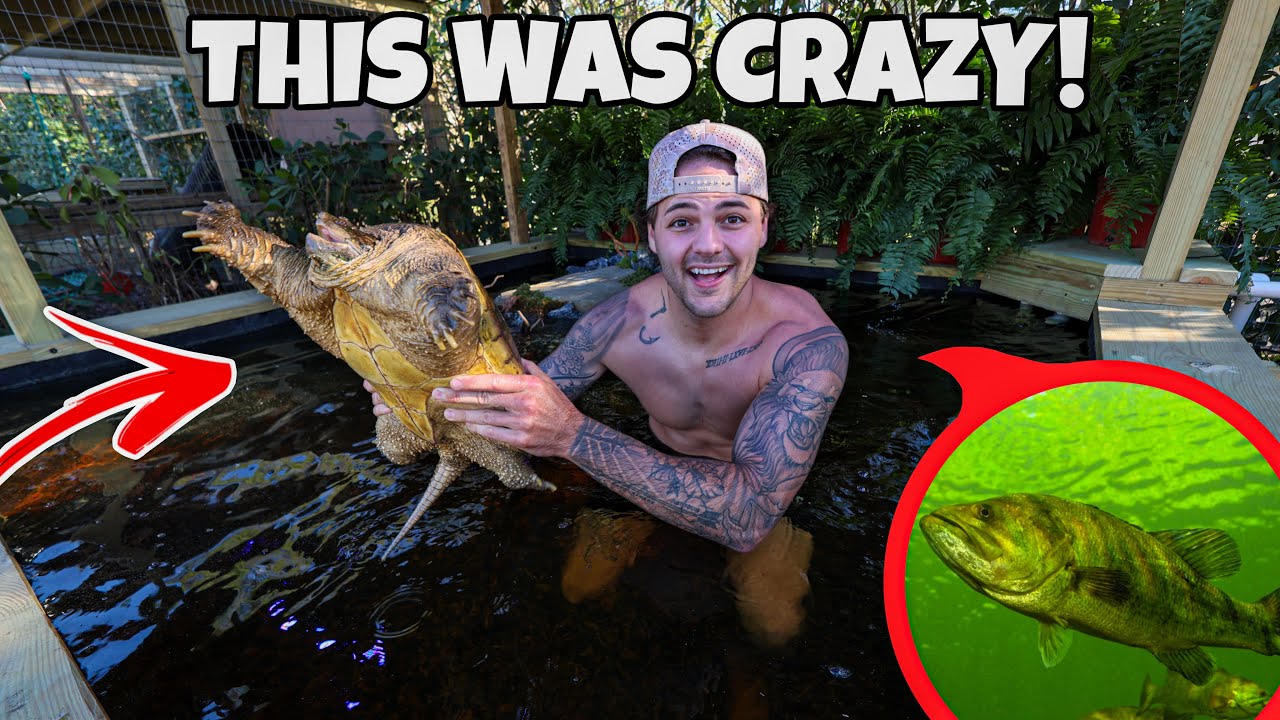 Moving My SNAPPING TURTLE into NEW POND!!