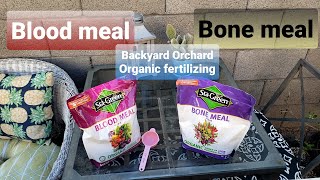 How to use Blood meal and Bone meal as an Organic fertilizer