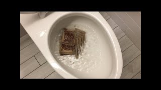 Will it Flush? - 2017 Flushing Compilation