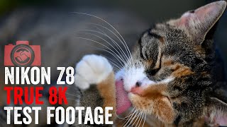 Nikon Z8 8K: incredible details!