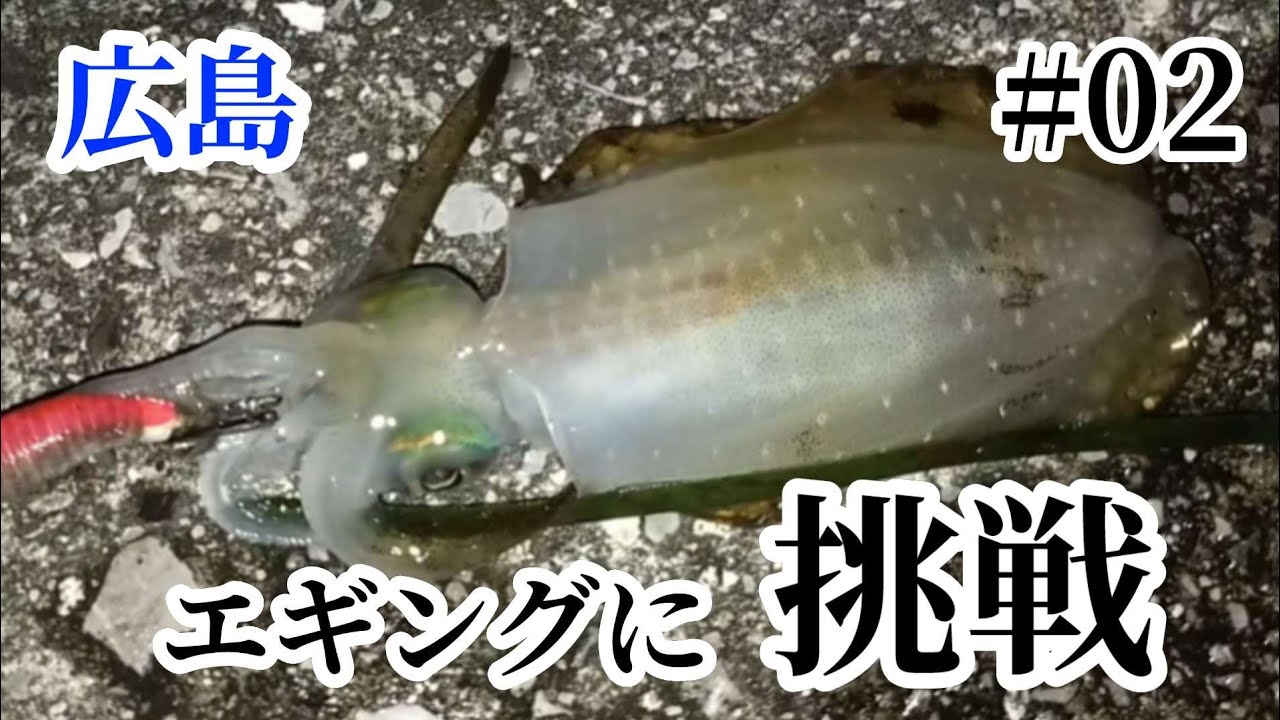 広島 釣り 広島市内のポイントで初心者がアオリイカ狙ってエギングやってみた 2 21 09 11 Fishing Youtube