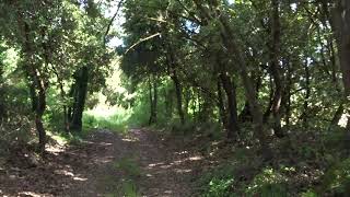 00001 VIDEO DEL CAMINO DEL VALLE DEL SILENCIO DE VECIANA (ANOIA)