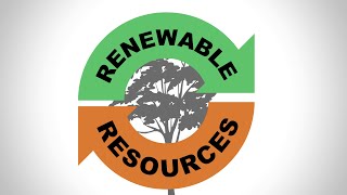 Forest Fast Break: Renewable Resources Wealth