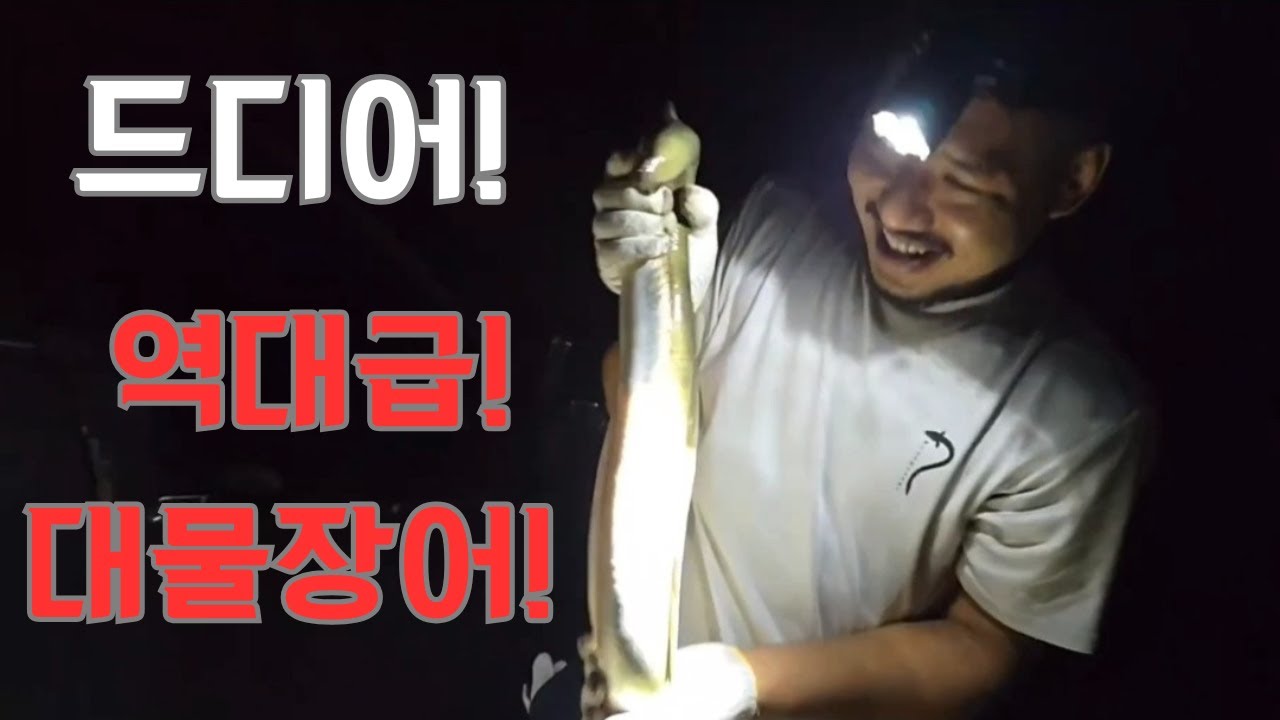 쌩자리 개척! 드디어 역대급 대물장어를 잡았습니다!