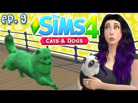 Video: Balík Sims 4 Cats And Dogs Prichádza V Novembri