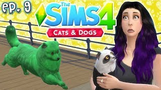 Joel Ran Away?! - The Sims 4: Raising YouTubers PETS - Ep 9 (Cats & Dogs) Joel Ran Away?! - The Sims 4: Raising YouTubers PETS - Ep 9 (Cats & Dogs)