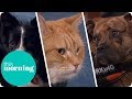 Life-Changing Pets | This Morning