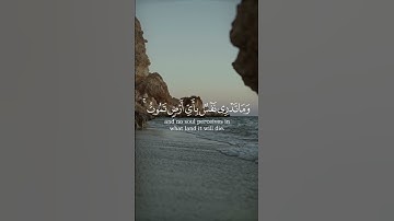 إن الله عنده علم الساعة وينـزل الغيث ويعلم ما في الأرحام #القرآن_الكريم #سورة_لقمان #راشد_الأركاني