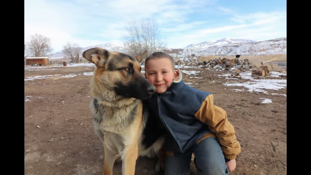 CHILD PROTECTION SERVICE DOG!! YouTube