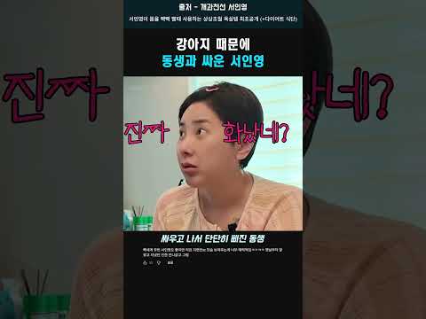 강아지 때문에 <strong>동생과</strong> 싸운 서인영 #서인영