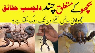 Bicchu (scorpion) ke mutaliq Chand dil chasp haqaliq | بچھو کے متعلق چند دل چسپ حقائق