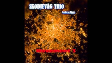 Skodjevåg Trio - Cortical Maze - Movement 3