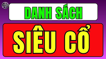 🚀 SIÊU DANH MỤC Q4/2025 – 3 Dòng Cổ Phiếu Sẽ DẪN SÓNG Thị Trường!