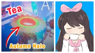 Royale High - What the Autumn Halo Looks Like