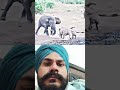 #music #viralvideo #trending #viral #duet #shorts #punjabi #punjabisong #bollywoodsongs #shortsfeed