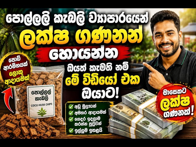 sri lanka business idea|export ලක්ෂ ගණන් හම්බකරන පොල්ලෙලි කැබලි ව්‍යාපාරයේ ඇත්තම කතාව 😱 ලාභද? පාඩුද?
