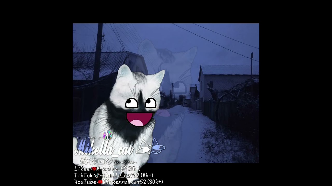 без смысла🚽#cat #animation