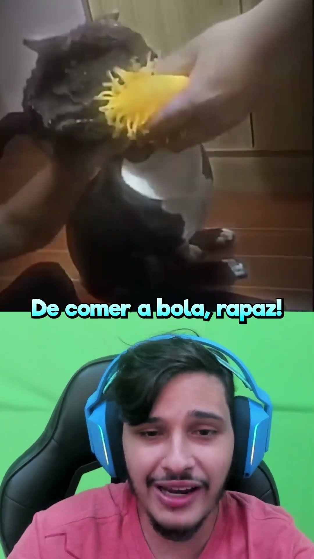 Como Educar Seu Cachorro!