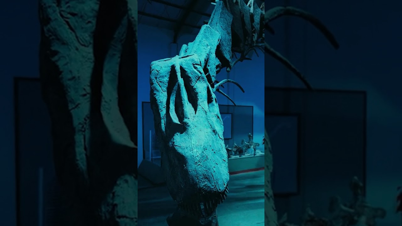 Are Museums Lying to You About Bones？