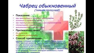 ГОТОВЛЮ "ПРОВАНСКИЕ ТРАВЫ" ФРАНЦУЗСКУЮ ЛЕЧЕБНУЮ ПРИПРАВКУ К НОВОМУ ГОДУ 28.12. 2017 г. ГОТОВЛЮ "ПРОВАНСКИЕ ТРАВЫ" ФРАНЦУЗСКУЮ ЛЕЧЕБНУЮ ПРИПРАВКУ К НОВОМУ ГОДУ 28.12. 2017 г.